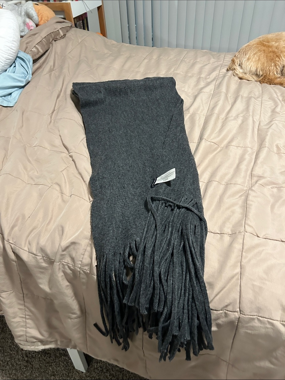Lucky Brand Dark Gray Fringe Scarf